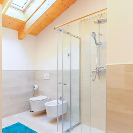 Piccola Orchidea Sul Musso