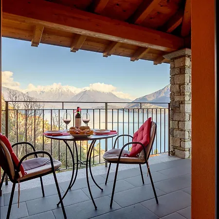 Piccola Orchidea Sul Musso